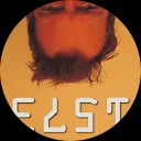 Johan Elst