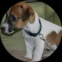 Jacob van der Struik