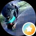 D de Graaf