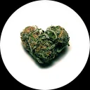 Rakietoslaw Weed Man