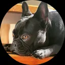 Shana Ruiz van der vliet