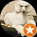 Astrid van voorthuyzen