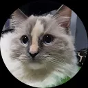 Snowwie