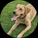 Barbara Karsdorp-Houdijk