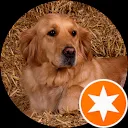 Diederika van der wal