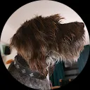 Stijn van de Moosdijk