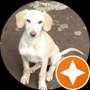 bianca ‘Vlinder’ lens