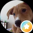 Spike Spike