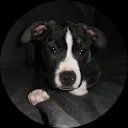 stephan burhenne (Ghostbull)