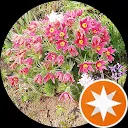 Christine Weber-Rübsam