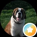 Aad en Elly kroon