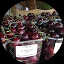 Herma Hofstee-Altenburg