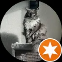 Davy van de Zuidwind