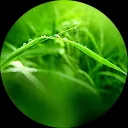 Татьяна Алексеева