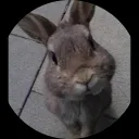 Boxing Legends Channel