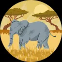 AmirHossein Torkabadi