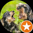 Doewinus van der Laan