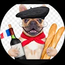 Titou Le Chien