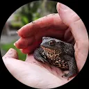 Marie-jeanne Schiffelers