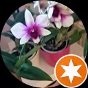 Lydia van den Meerendonk