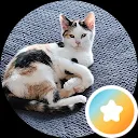 Mireille M