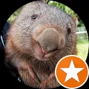 Cletus Wombat