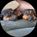 Yvonne Zandberg-visser