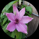 Hanny Huijssteden de Wit