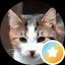 Cat park