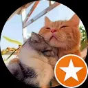 Стела Маринова