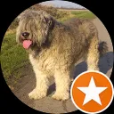 Cam de Rijk - v. Doornik