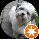 Petra Hendriksen - Bruins