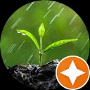 حامد سامانی