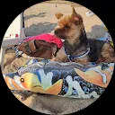 Вячеслав Нестеров