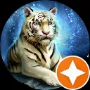 ShadowAsylum99 (icyfireblaze)