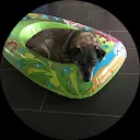 Нина Нийлс Шомакерс