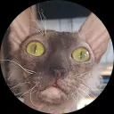 D.