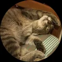 Lucie Guštafíková