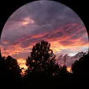 Silke Vanden Drissche