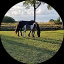 Elise Tamar Markerink