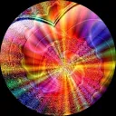 Zaber-Rose Koegelberg