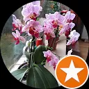 Mireille van der Wart