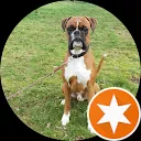 KlaasJan van der Ark