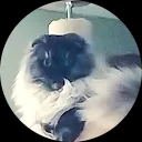 Inge Van der klooster