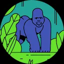 Guilherme Ferreira vaz