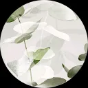 أم عبدالرحمن