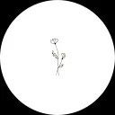 Lisa Maria van der Steen