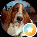 Bouk Stoelwinder
