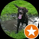 Pierre-cora Feenbosch