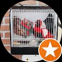 Jolanda Hut-Heersink